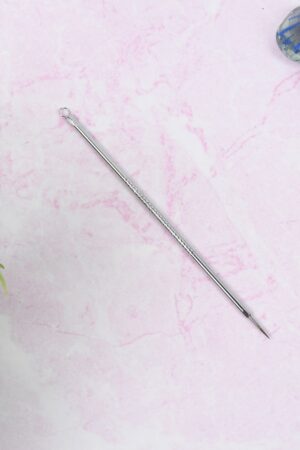 Blackhead Remover Needle (1 Pc / With Case)