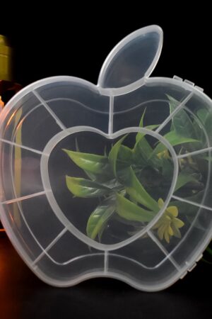 Plastic Apple Shape Jewellery Storage Box (1 Pc)