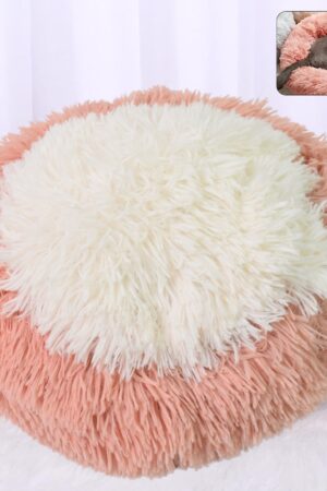 Indoor Dog Bed for Cats (50×50×13 Cm / Big)