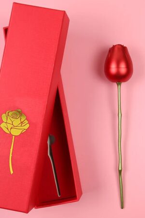 Plastic Red Rose Couple Rings Box-Fancy Rings Box (No Rings Included / 1 pc)