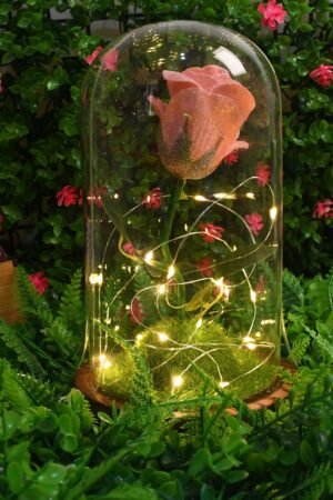 Glass Flower with Led Light Great Gift (1 Set)