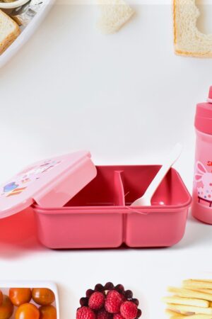 Plastic Lunch Box Leak Proof 2 Compartment with Bottle and Fork (1 Set / Mix Color)
