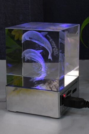3D Dolphin LED Light, Desk Decor, LED Light Base, USB Charging (1 Pc)