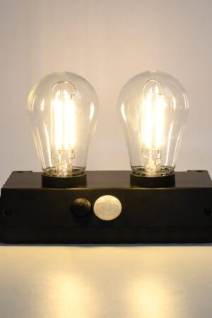 Solar Double LED Bulb Lamp YT-819- 2W (1 Pc)