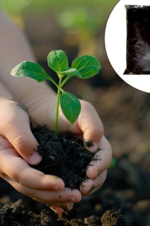 Organic Vermicompost Black Soil for Plants Health Manure (1 KG Approx)